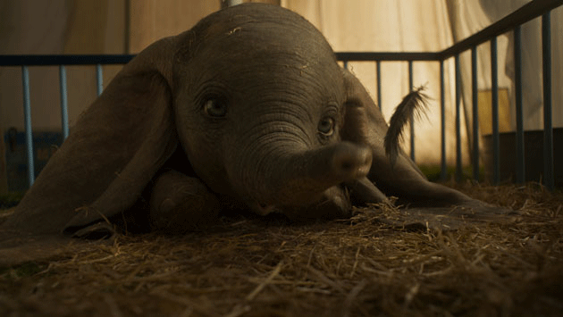 Dumbo arriva in home video Dumbo arriva in home video
