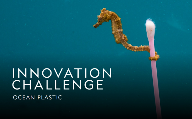 Ocean Plastic Innovation Challenge: National Geographic e Sky Ocean Ventures contro la plastica usa&getta