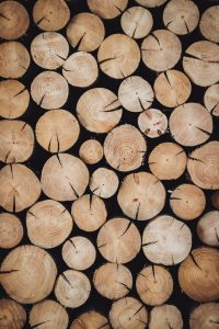 Feltrin decreto legno