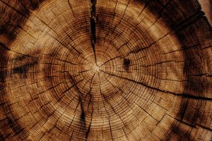 FILIERA LEGNO-ARREDO CHIUDE 2021 A + 14,1%