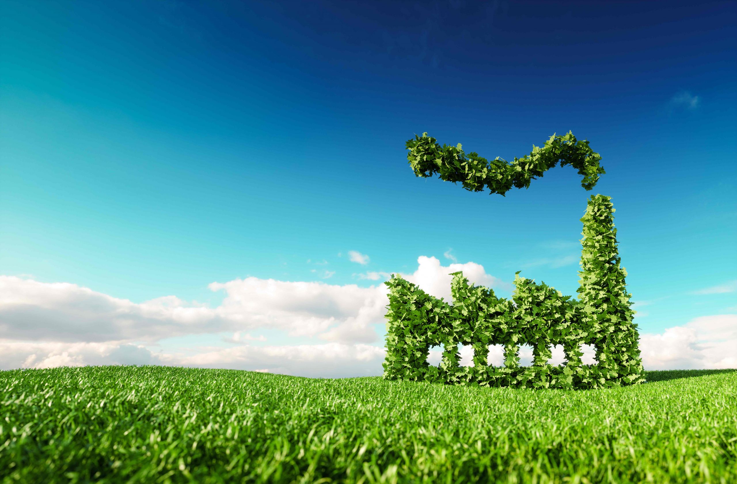 Parlano le aziende: Io sono green perché… Parlano le aziende: Io sono green perché…