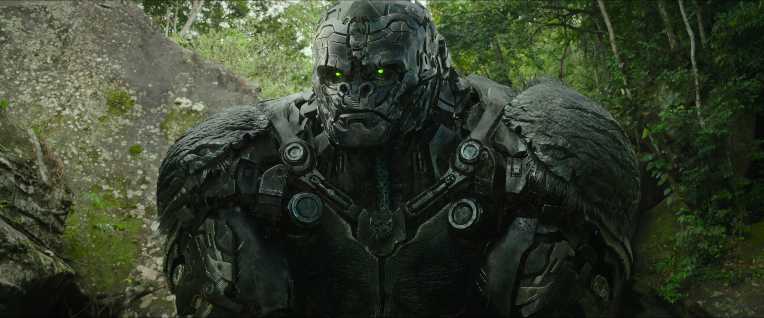Transformers: Il Risveglio conquista 430 cinema Transformers: Il Risveglio conquista 430 cinema
